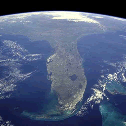 Top 5 Florida Banks in Commercial OREO
