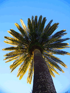 Florida banks with distressed construction projects