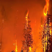 Evergreen Bank got torched as a result of bad construction loans.