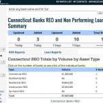 1 California Banks REO and Non Performing Loans Summary Screenshot