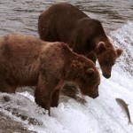 go upstream Go upstream for commercial foreclosures