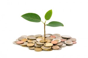 Increase ROI on your REO and non performing loan investment strategy