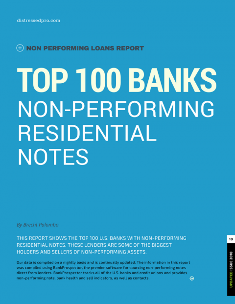 REPORT: Top 100 U.S. Bank with Residential Non-Performing Notes