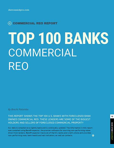 Top 100 Banks Commercial REO