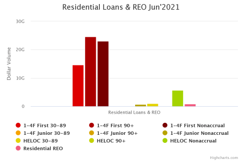 U.S. Residential Loans & REO Chart [Q2 2021]